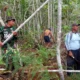 Babinsa Bersama Warga Gotong Royong Ambil Kayu untuk Pengecoran Masjid Nurul Fajeri