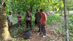 Penemuan Mayat di Kebun Warga, Babinsa dan Bhabinkamtibmas Bergerak Cepat