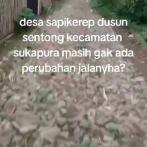 Viral Video TikTok Ungkap Jalan Desa di Sapikerep Sukapura yang Belum Ada Perbaikan Sejak 2018, Masyarakat Tanyakan Dana Desa