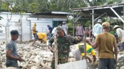 Wujud Kepedulian TNI, Babinsa Kodim 1505/Tidore Bantu Bangun Rumah Warga