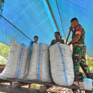Babinsa Koramil 1505-03/Maba Bantu Warga Isi Kopra
