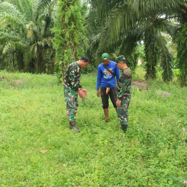 TMMD Kodim 1009 Tanah Laut Bangun 5 Sumur Bor di Gunung Melati