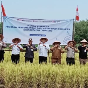 Panen Perdana Padi Apung di Tabalong Dukung Ketahanan Pangan Daerah