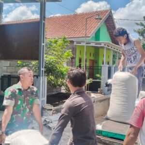 Babinsa Koramil 0820/01 Kanigaran Terjunkan Anggota Bantu Petani Probolinggo