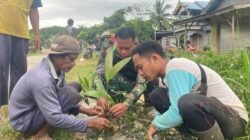 Satgas TMMD ke-124 Kodim 1009/Tanah Laut Tanam Ratusan Pohon Demi Lestarikan Alam dan Cegah Bencana