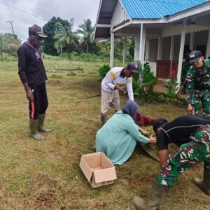 Sinergi TNI dan Warga Kirely: Posyandu Bersih, Pelayanan Makin Baik Sinergi TNI dan Warga Kirely: Posyandu Bersih, Pelayanan Makin Baik