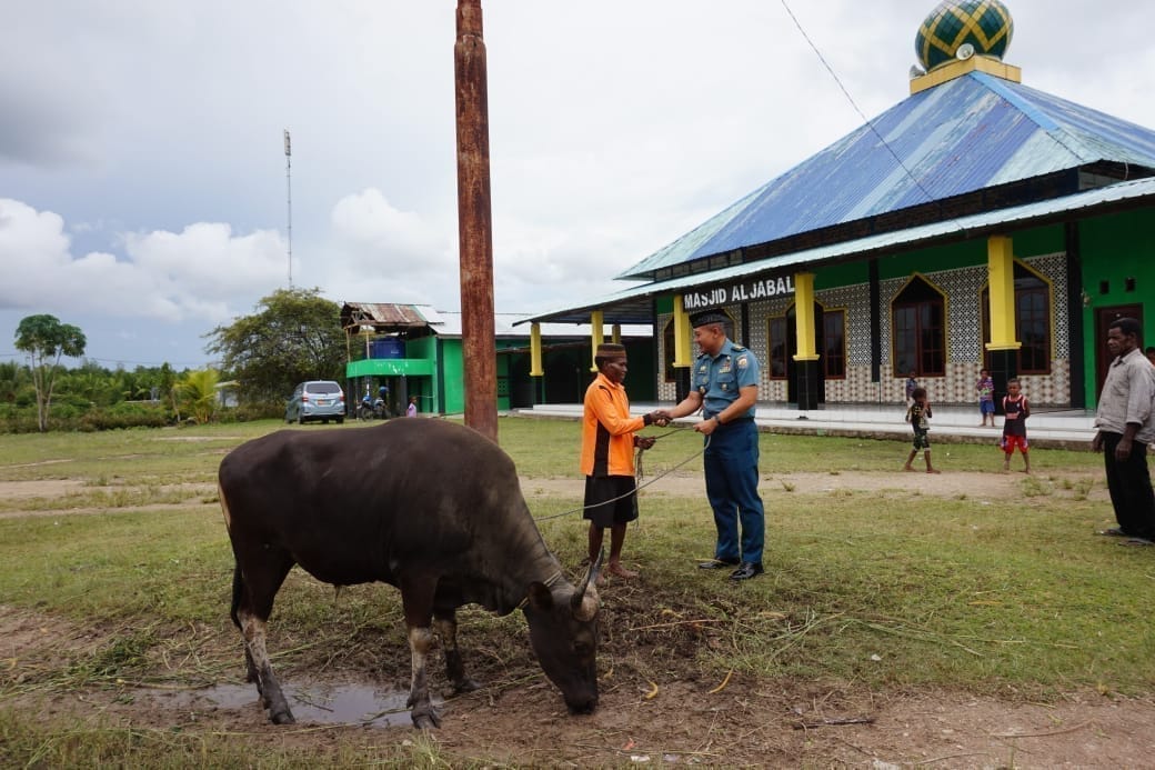 Koarmada III Bagikan Hewan Kurban untuk Warga Papua, Wujud Kepedulian TNI AL pada Iduladha 1446 H