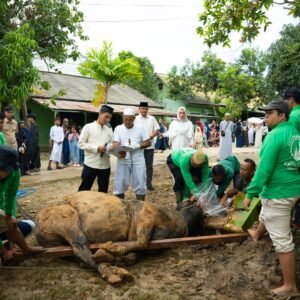 Rayakan Idul Adha 1446 H, Kodim 0906/Kkr Berbagi Daging Kurban kepada Masyarakat Sekitar Rayakan Idul Adha 1446 H, Kodim 0906/Kkr Berbagi Daging Kurban kepada Masyarakat Sekitar