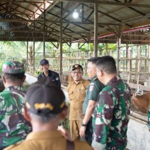 Wasev Pengawasan dan Evaluasi Di Bidang Ketahanan Pangan Tinjau Kawasan Terintegrasi di Desa Cipari Wasev Pengawasan dan Evaluasi Di Bidang Ketahanan Pangan Tinjau Kawasan Terintegrasi di Desa Cipari