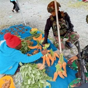 Gairahkan Ekonomi Lokal, Satgas Yonif 715/Mtl Borong Hasil Tani Gairahkan Ekonomi Lokal, Satgas Yonif 715/Mtl Borong Hasil Tani