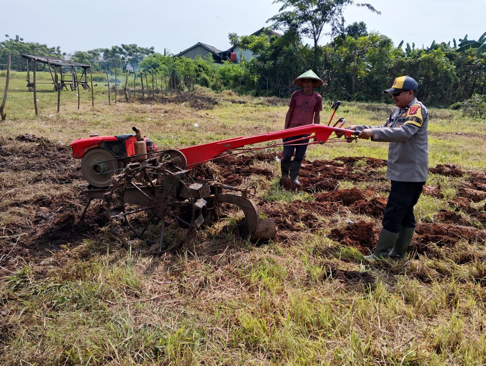 Program Ketahanan Pangan Desa Sukadamai: Wujud Kemandirian Pangan Melalui Penanaman Jagung Hibrida