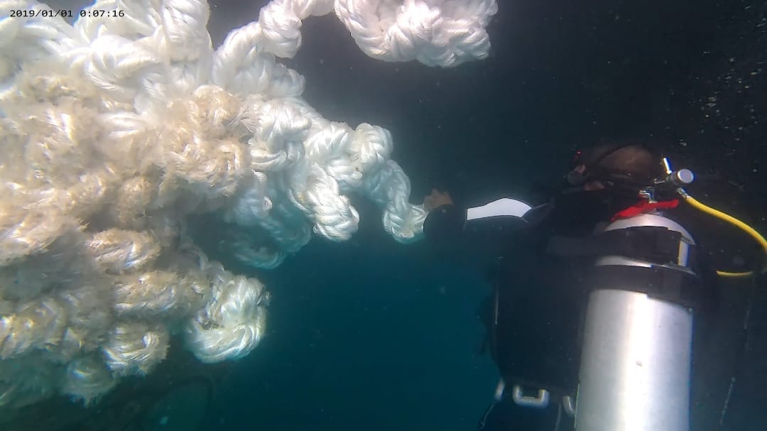 Propeler Terlilit Tali Lanal Tual Bergerak Cepat Selamatkan KM Labobar, Warga Apresiasi