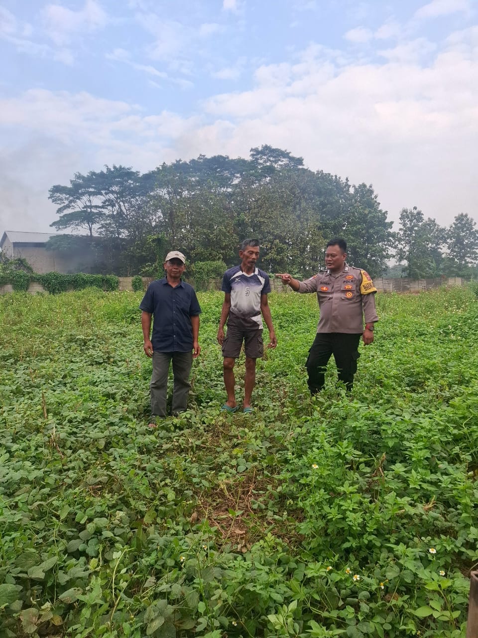 Bhabinkamtibmas Talaga Tinjau Lahan Ketahanan Pangan Milik Warga Bhabinkamtibmas Talaga Tinjau Lahan Ketahanan Pangan Milik Warga