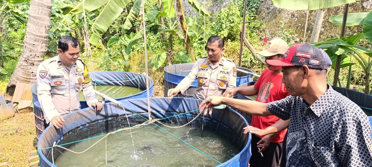 Wakapolsek Cikupa Tinjau Ketahanan Pangan Warga Pasir Jaya, Ajak Manfaatkan Lahan Kosong