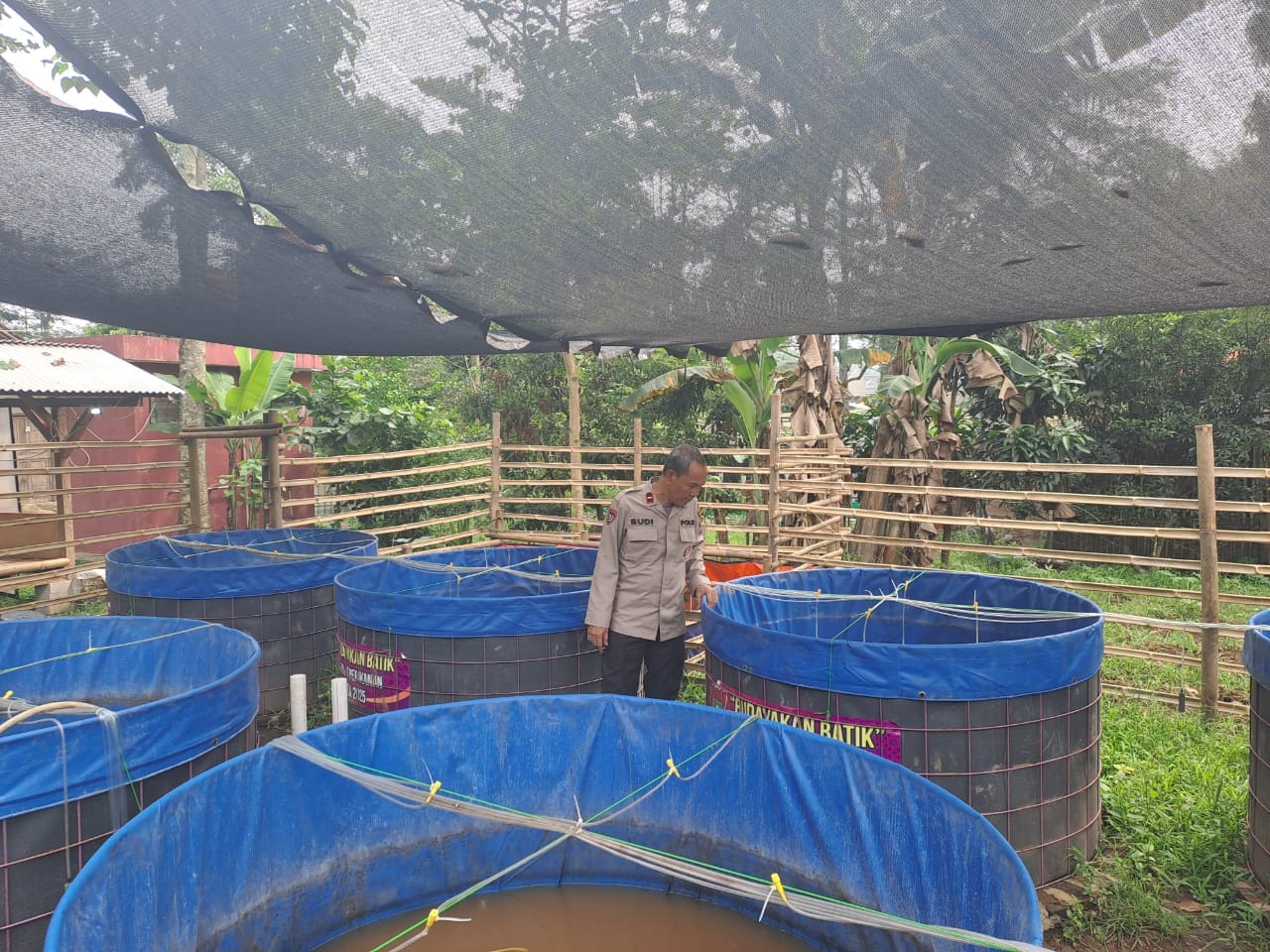 Dukung Program Kapolda Banten, Kanit Binmas Polsek Tigaraksa Tinjau Ketahanan Pangan Budidaya Ikan Lele di Kp. Pete, Desa Pete, Kec. Tigaraksa