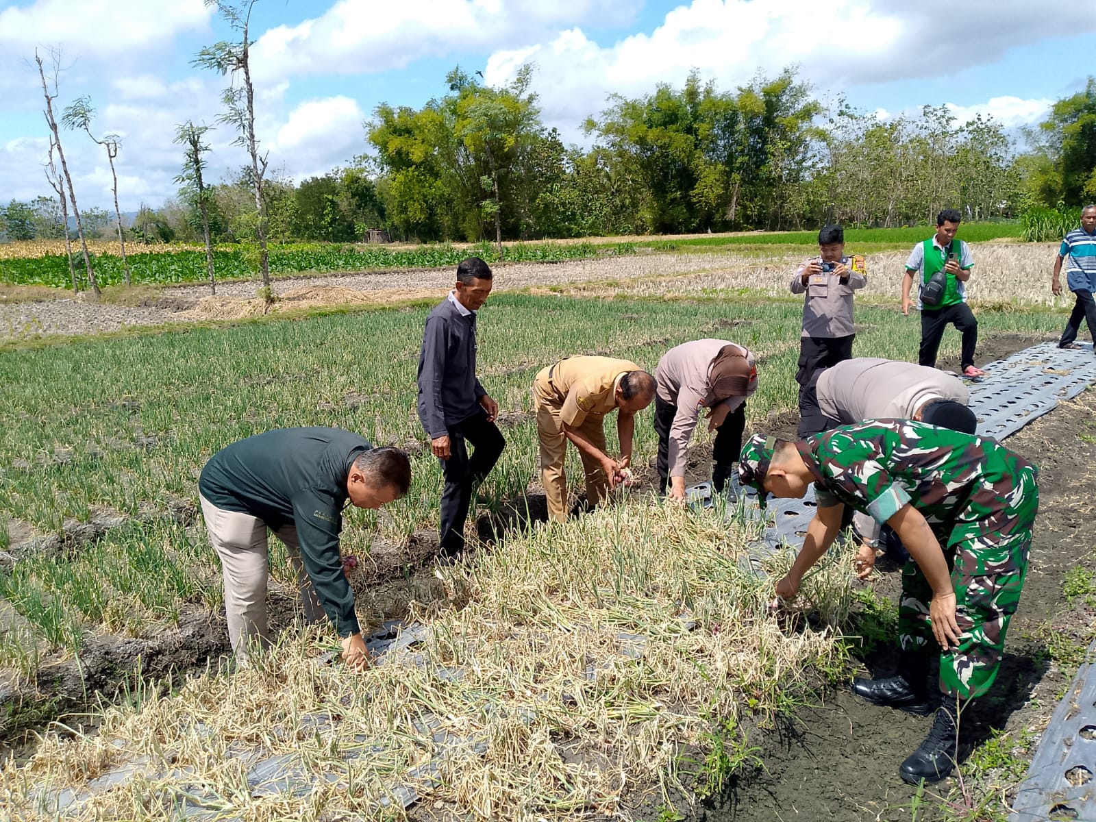 Anggota TNI Hadiri Kegiatan Farmers Field Day