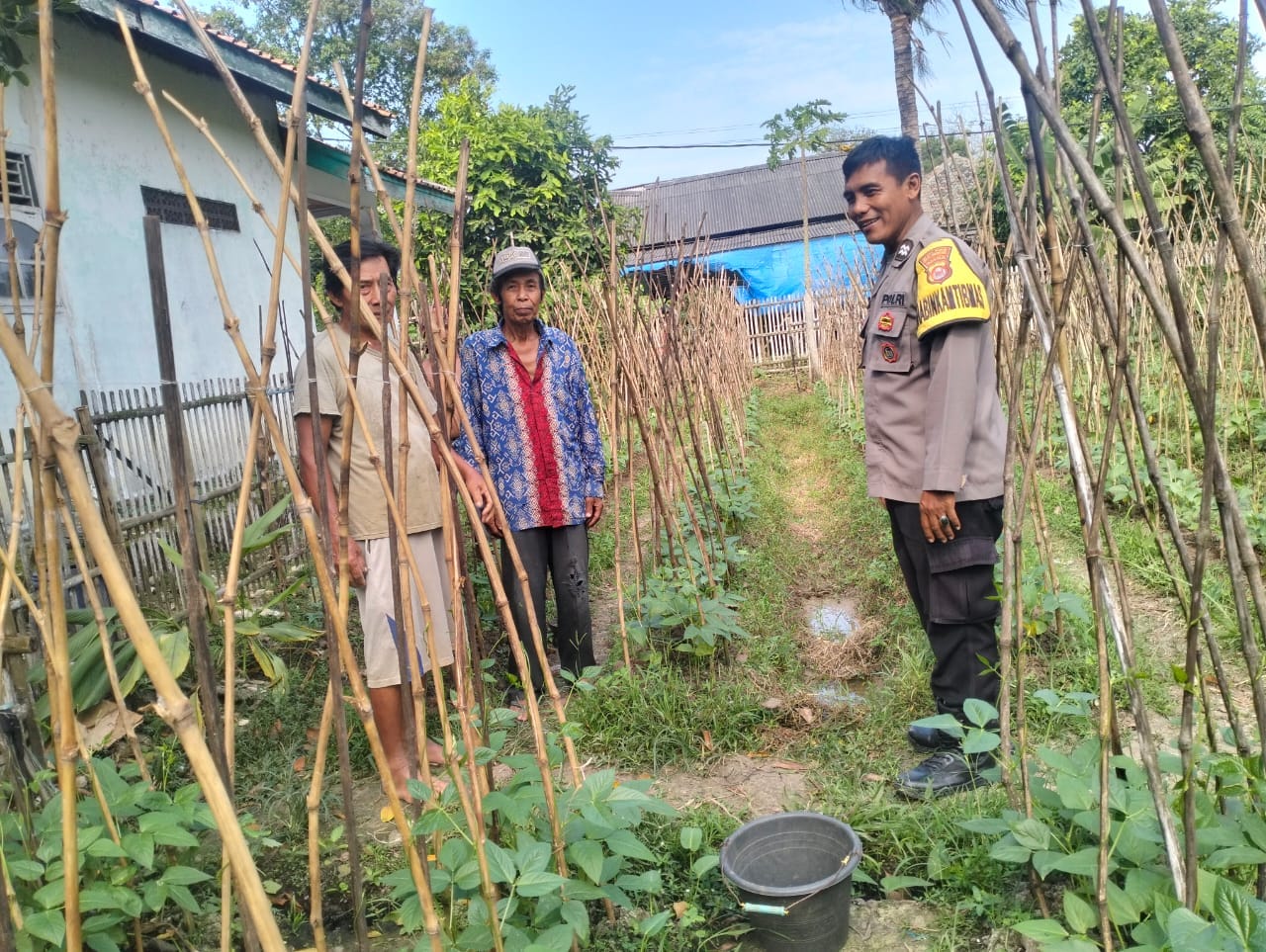 Dukung Ketahanan Pangan, Aiptu Sukarna Ajak Warga Manfaatkan Pekarangan Produktif Dukung Ketahanan Pangan, Aiptu Sukarna Ajak Warga Manfaatkan Pekarangan Produktif