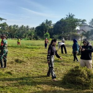 Babinsa Kerta Buana Bersama Warga Kompak Gotong Royong Bersihkan Lapangan Bola