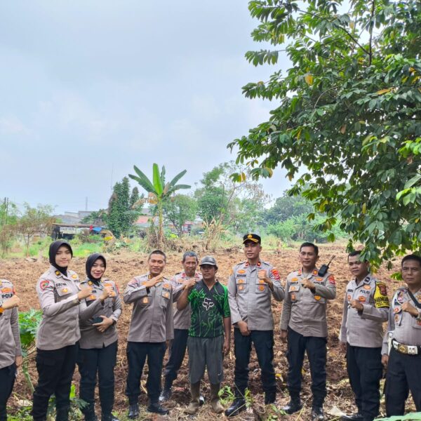 Pengawasan Program Ketahanan Pangan, Tim Polda Banten Tinjau Lahan Jagung di Desa Pasir Jaya
