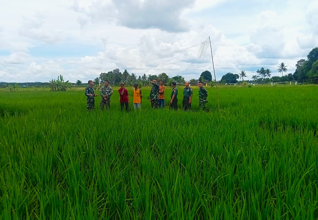 Satgas Kedaulatan Pangan Kodim Kukar Gelar Patroli Bersama, Dorong Ketahanan Pangan Hingga ke Desa