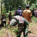 Jelang HUT TNI Ke-80, Koramil 1715-02/Kiwirok Kodim 1715/Yahukimo Bersama Masyarakat 12 Desa di Distrik Kiwirok Melaksanakan Penanaman Pohon Kopi
