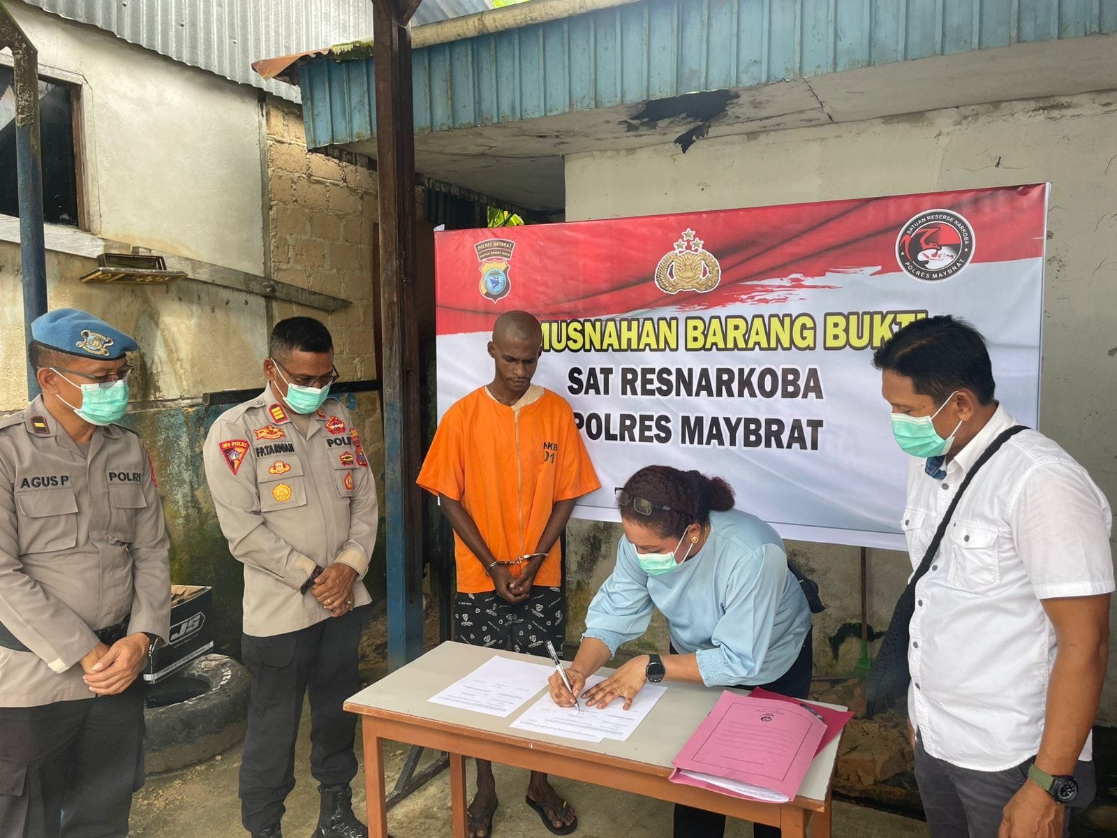 Polres Maybrat Musnahkan Ganja, Tegaskan Perang Lawan Narkoba