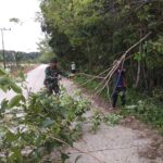 Babinsa Bersama Warga Lakukan Gotong Royong Bersihkan Dahan Pohon, Berikan Rasa Aman Pada Pengguna Jalan Babinsa Bersama Warga Lakukan Gotong Royong Bersihkan Dahan Pohon, Berikan Rasa Aman Pada Pengguna Jalan