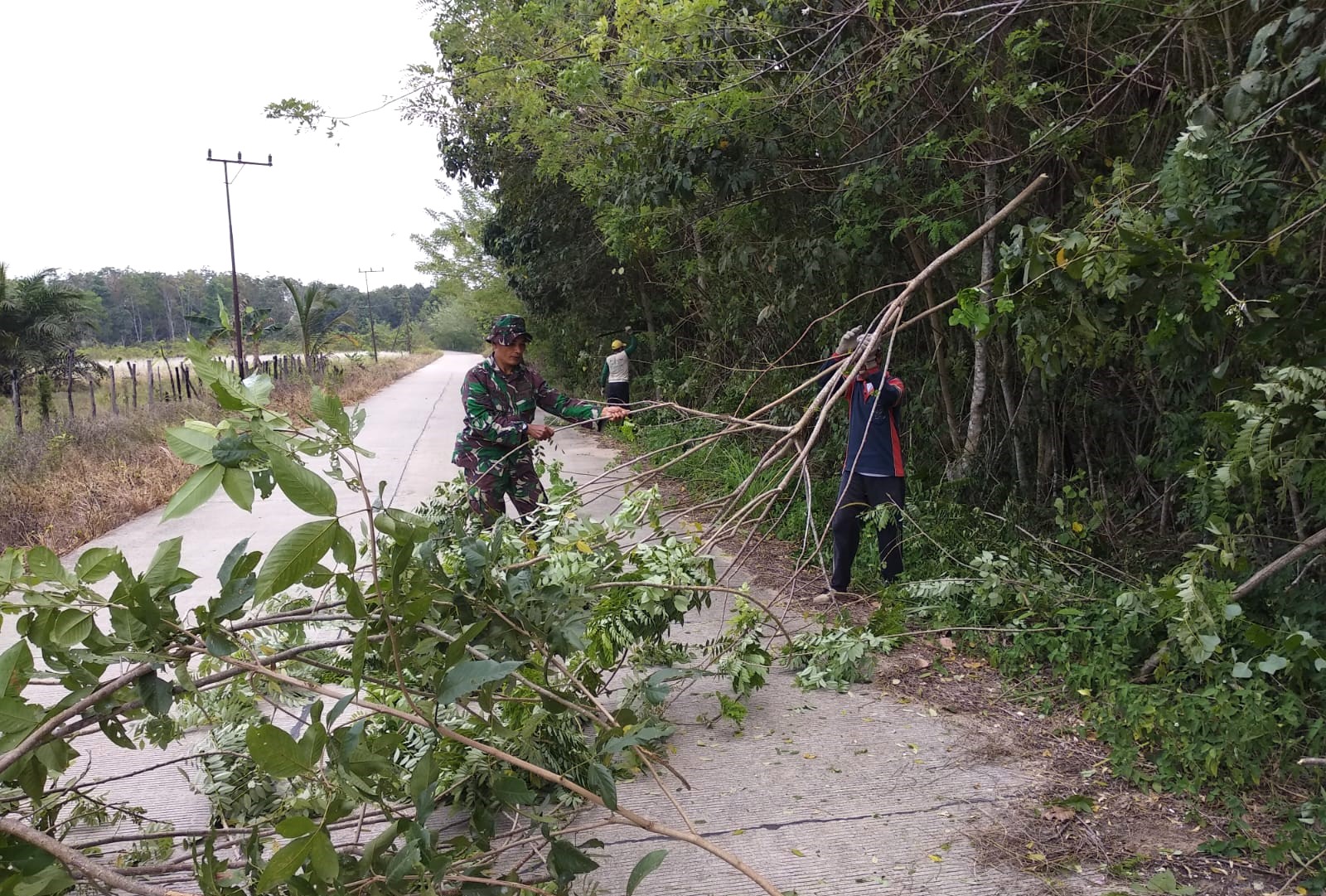 Babinsa Bersama Warga Lakukan Gotong Royong Bersihkan Dahan Pohon, Berikan Rasa Aman Pada Pengguna Jalan