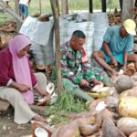 Wujud Kepedulian, Babinsa Koramil 03/Maba Dukung Pengolahan Kopra di Desa Binaan Wujud Kepedulian, Babinsa Koramil 03/Maba Dukung Pengolahan Kopra di Desa Binaan