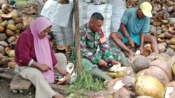 Wujud Kepedulian, Babinsa Koramil 03/Maba Dukung Pengolahan Kopra di Desa Binaan