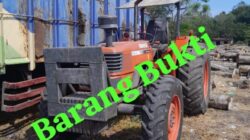 Dugaan Penebangan Kayu Perhutani di Sekar Kare Belum Tuntas, Aktivis Curiga Ada Oknum Bermain
