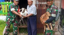 Perkuat Ekonomi Masyarakat lewat Bantuan Bibit Ternak Melalui Pemerintah Pusat Kepada Tokoh Adat dan Tokoh Masyarakat di PBD
