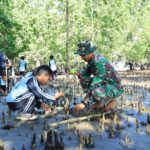 Lestarikan Pantai, Satgas TMMD Kodim 1505/Tidore Galakkan Penanaman Mangrove di Oba Selatan