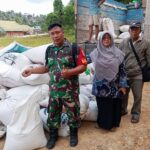 Jaga Stabilitas Ketersediaan Pangan, Babinsa Bukit Biru Dampingi Penyerapan Gabah Petani Jaga Stabilitas Ketersediaan Pangan, Babinsa Bukit Biru Dampingi Penyerapan Gabah Petani