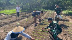 Tumbuh Bersama di Perbatasan: Prajurit Kala Hitam dan Warga Kirely Semai Harapan Hijau