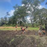 Dari Tanah Perbatasan, Tumbuh Harapan Baru: Satgas 312/KH Tanam Jagung di Rawabiru