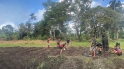 Dari Tanah Perbatasan, Tumbuh Harapan Baru: Satgas 312/KH Tanam Jagung di Rawabiru