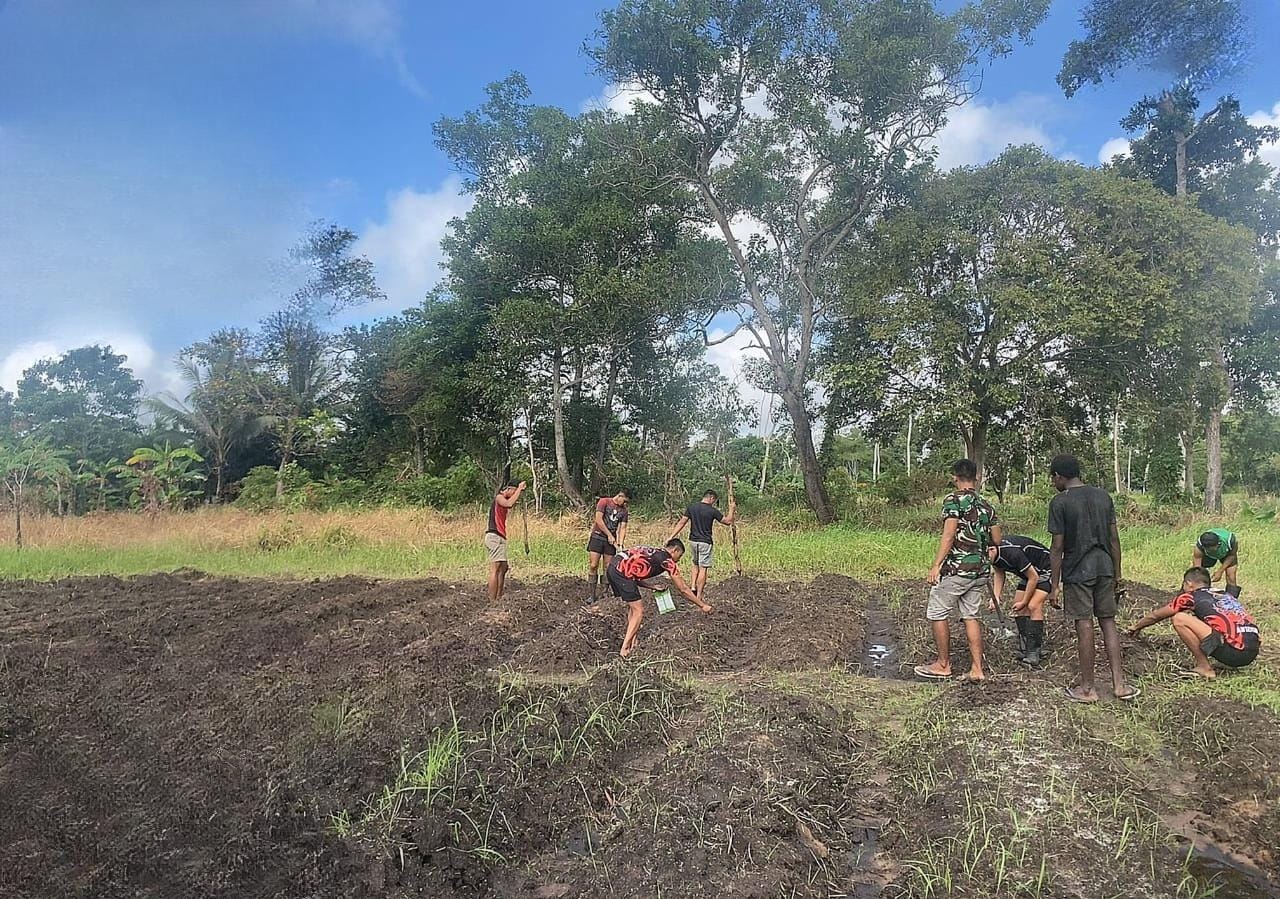 Dari Tanah Perbatasan, Tumbuh Harapan Baru: Satgas 312/KH Tanam Jagung di Rawabiru