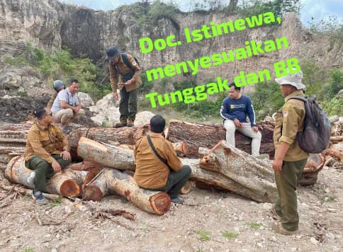 Perhutani Akui Belum Ada Update, Kasus Kayu Gunung Bentar Probolinggo Seolah Jalan di Tempat