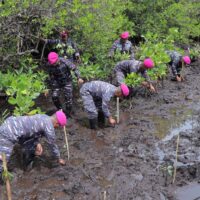 Koarmada III Hadir untuk Rakyat Pesisir: Baksos, Layanan Kesehatan, MBG, dan Penanaman 1.000 Mangrove Meriahkan HUT Armada RI 2025