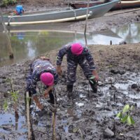 Semarak HUT Armada RI 2025: Koarmada III Gelar Baksos Akbar dan Tanam 1.000 Mangrove di Katapop Pantai Kabupaten Sorong