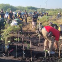 Kodim 0820/Probolinggo Gaspol Reboisasi: Mangrove hingga Pohon Keras Ditanam Serentak