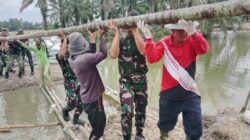 TNI dan Warga Gotong Royong Perkuat Tanggul Pasca Banjir di Langkat