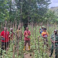 Ketua PYCH Maybrat Apresiasi Bantuan Pertanian dari Presiden RI, Tegaskan Komitmen Jaga Keamanan Natal dan Tahun Baru