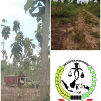 Tuban Darurat Hukum: Tambang Ilegal Beroperasi Tanpa Rasa Takut