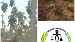 Tuban Darurat Hukum: Tambang Ilegal Beroperasi Tanpa Rasa Takut