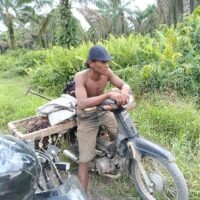 PT. Agrinas Sukaramai Labura Berdayakan Pekerjakan Masyarakat Sekitar, Hadapi Tantangan Pencurian