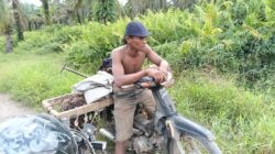 PT. Agrinas Sukaramai Labura Berdayakan Pekerjakan Masyarakat Sekitar, Hadapi Tantangan Pencurian