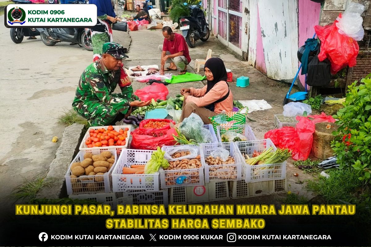 Kunjungi Pasar, Babinsa Kelurahan Muara Jawa Pantau Stabilitas Harga Sembako Kunjungi Pasar, Babinsa Kelurahan Muara Jawa Pantau Stabilitas Harga Sembako