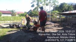 Babinsa Kodim 1505/Tidore Bantu Warga Binaan Pindahkan Tumpukan Pasir